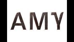 AMY – Zombie Reflection Gameplay (Cam)