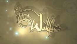 Islands Of Wakfu Review (ObnoxiousGamer)