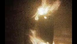 Nintendo 3DS Set Aflame in Microwave Torture Test