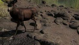 theHunter Review – ZTGD