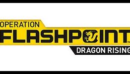 PSychic Gamers: Operation Flashpoint: Dragon Rising Review