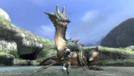 Monster Hunter 3DS Would Boost System’s Popularity (Modojo)
