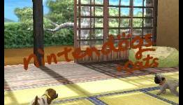 Push-Start: Review: nintendogs + cats