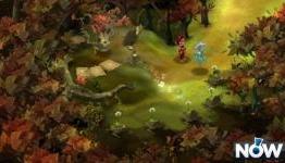 Islands Of Wakfu review | NowGamer