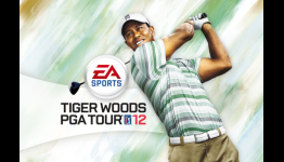 AppSmile – Tiger Woods PGA Tour 12 Review