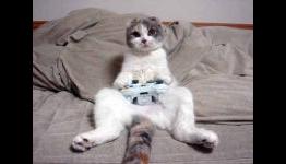 Game Companies Need To Stop Using Betas As s Sales Crutch