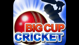148apps – Big Cup Cricket Review