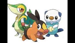 Pokemon Black and White Review for DS by SIR Games