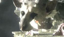 The Last Guardian, ICO And SOTC Collection Update