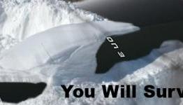 PSNation: How Do You Survive This Storm