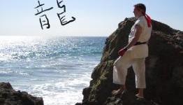 It’s time for Street Fighter III: The Animated Movie