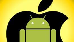 Application Reports And Store Standings