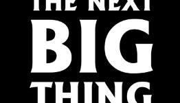 The Next Big Thing Walkthrough