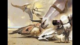 Player Affinity | From Panzer Dragoon to Project Draco – History and a Look Ahead