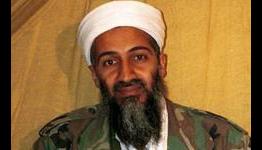 Pair Of “Hunt For Bin Laden” Projects Could Be Timeliest Movies In Hollywood Now