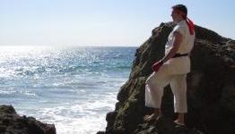 Street Fighter Legends: Ryu