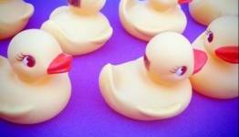 Rubber Ducks Point The Way To Hitman 5 Reveal
