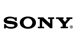 ESRB Rating for Sony Going Multiplatform Was Just a Mistake