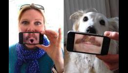Top 10 UK Paid Apps on iPhone – 13th May