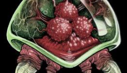 Artists Take On The Metroid