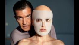 The Skin I Live In Review – WGTC