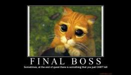 Boss Battles- The Needless Necessity