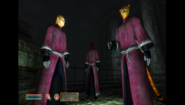 The Elder Scrolls IV: Shivering Isles review [NoobFeed]