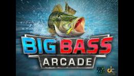 Wiiloveit.com: Big Bass Arcade – DSiWare Review