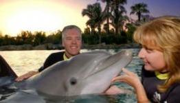 Talk with a dolphin via underwater translation machine