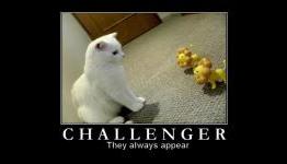 Fit to Game: A New Challenger Appears