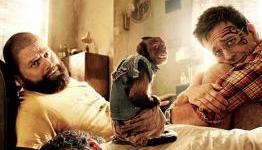 The Hangover Part II Review – Dolphin Suicide