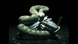Hitman: Absolution ‘Still For Core Fans’ – IO