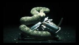 I’ll kill IO if Hitman Absolution is dumbed down