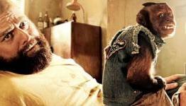 Craig Mazin Back Onboard to Write ‘Hangover 3’