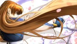 Pure Nintendo Review: Dead or Alive Dimensions