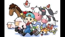 Rising Star Games To Publish Harvest Moon: Grand Bazaar In PAL Territories