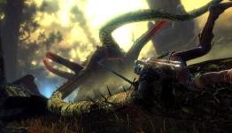 Witcher2Game.com – The Witcher 2 Guide: Besting the Kayran