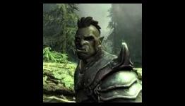 Elder Scrolls V Skyrim: New details reveal 100% game completion time