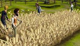 Family Farm: Old McDonald Had A Farm… (Hooked Gamers)