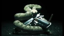 Hitman: Absolution Revealed