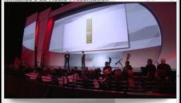 Skyward Sword Gets Golden Wii Remote