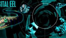 Interview with Digital Eel