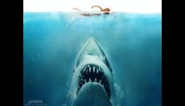 Jaws on the 3DS is Actually Bloody and Violent, Wii Version Still in Pre-School