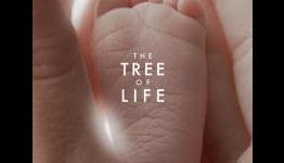 The Tree of Life UK and Irish Release Confirmed