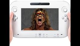 Can The Wii U Work As The Ultimate Platform?