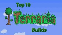 Top 10 Terraria Builds