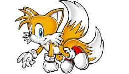 Life in co-op: How Tails taught me the true meaning of teamwork