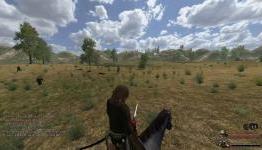 GamingOgre: Mount and Blade: With Fire and Sword Review