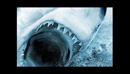 JAWS: Ultimate Predator Preview (Modojo)