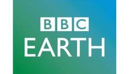 SEGA and BBC Earth Go Hedgehog To Hedgehog With A New Multisensory Experience